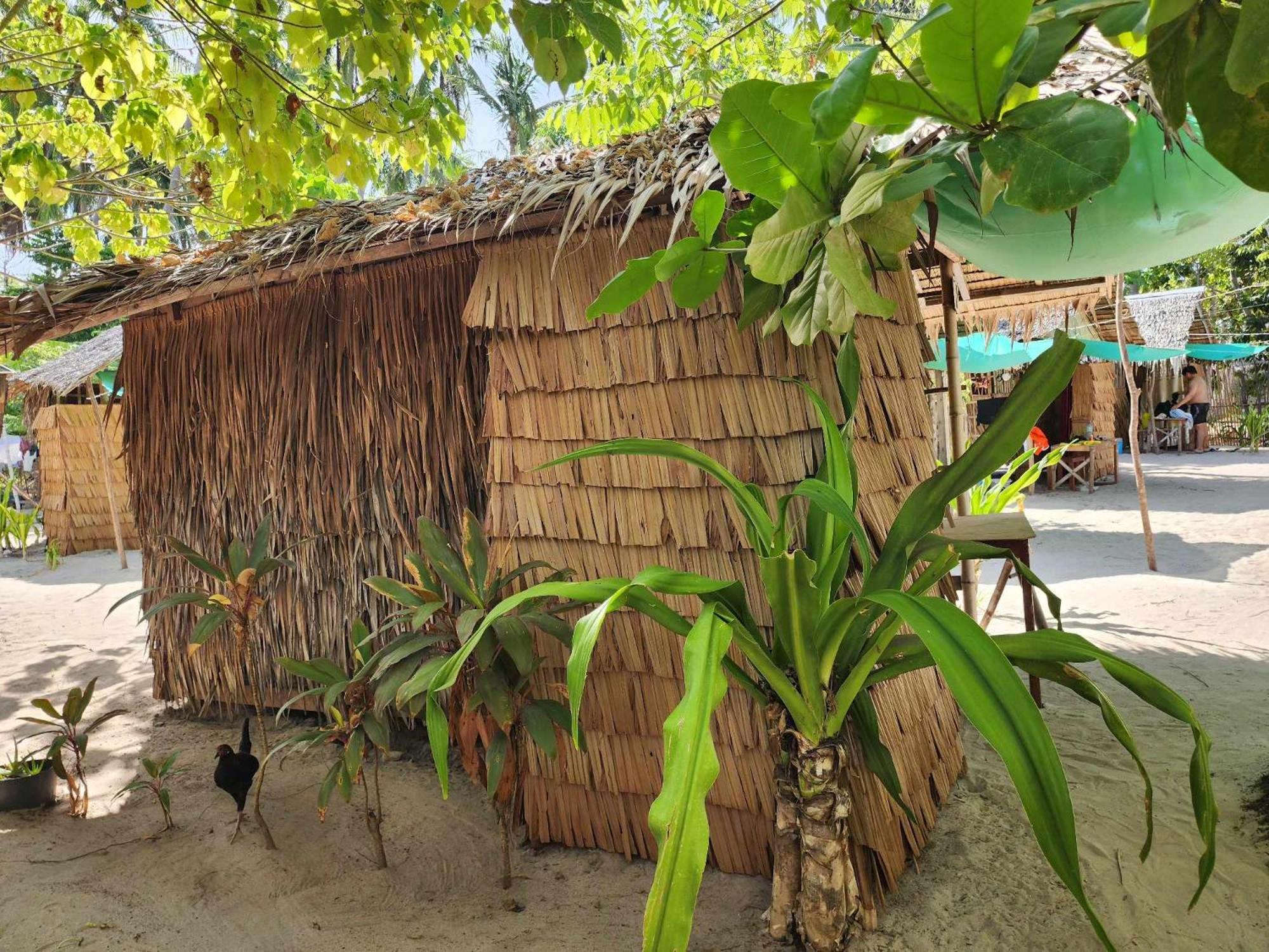 Bice Camp Darocotan Hotel เอลนิโด ภายนอก รูปภาพ