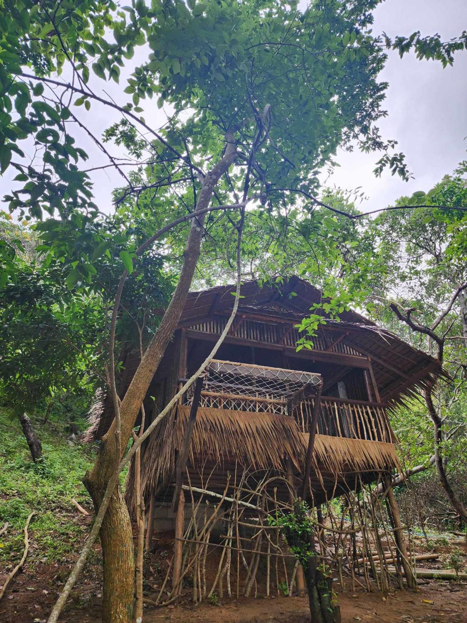 Bice Camp Darocotan Hotel เอลนิโด ภายนอก รูปภาพ